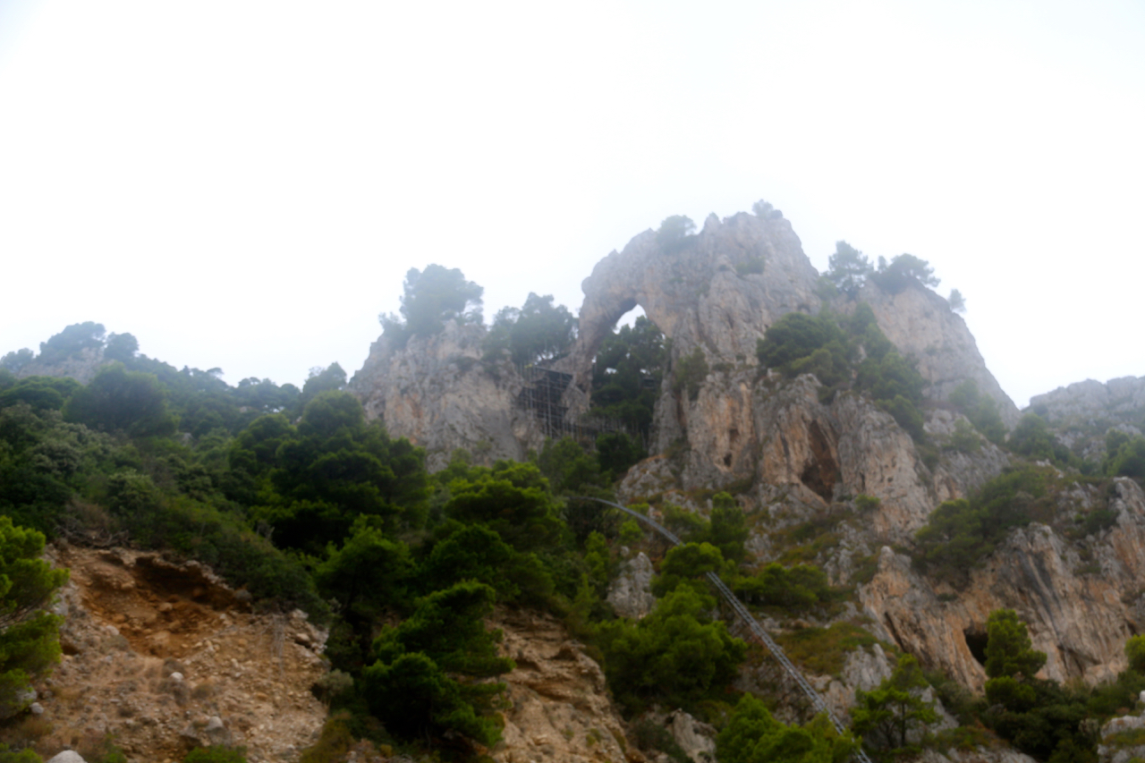 Can you see the elephant up there?